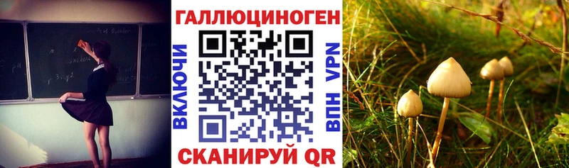 Галлюциногенные грибы Magic Shrooms закладка MEGA сайт Маркс