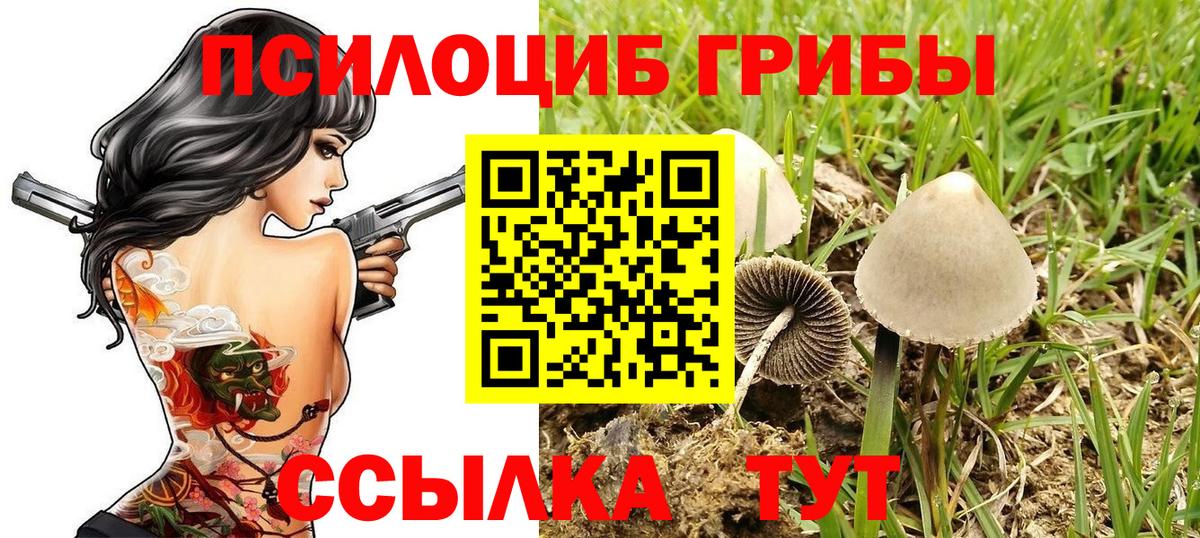 Псилоцибиновые грибы ЛСД Маркс