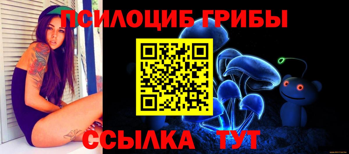 Маркс  Псилоцибиновые грибы MAGIC MUSHROOMS  Вход с VPN 