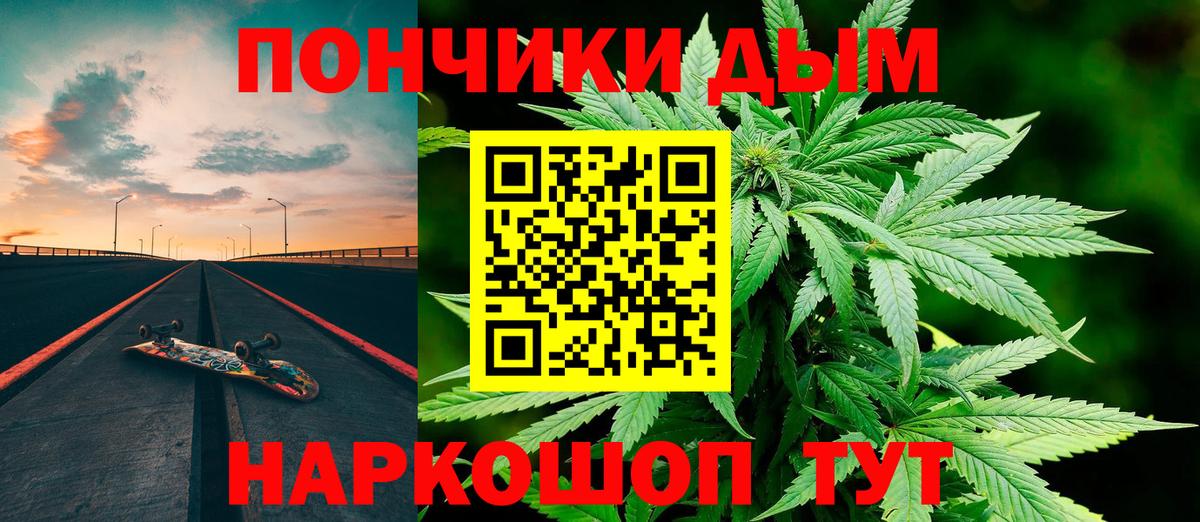 Бошки Шишки семена  Каннабис тримм  Канабис планчик  Маркс  Вход с VPN 